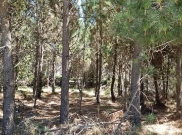 Terreno · 941m² · Terreno en Golf 2