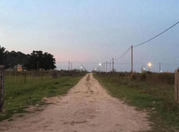 Terreno · 1250m² · Terreno en Venta - 1250 m² - 25 m X 50 m - Arana