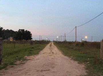 Terreno · 1250m² · Terreno en Venta - 1250 m² - 25 m X 50 m - Arana