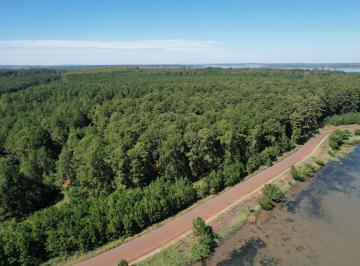 Campo · 41000m² · Campo en Venta 41 Hectáreas Sobre Costa en Candelaria
