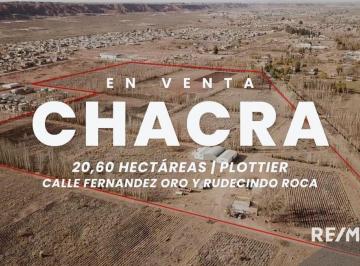 Campo · 21ha · Venta Chacra 20,60 Ha con Galpones, Plottier