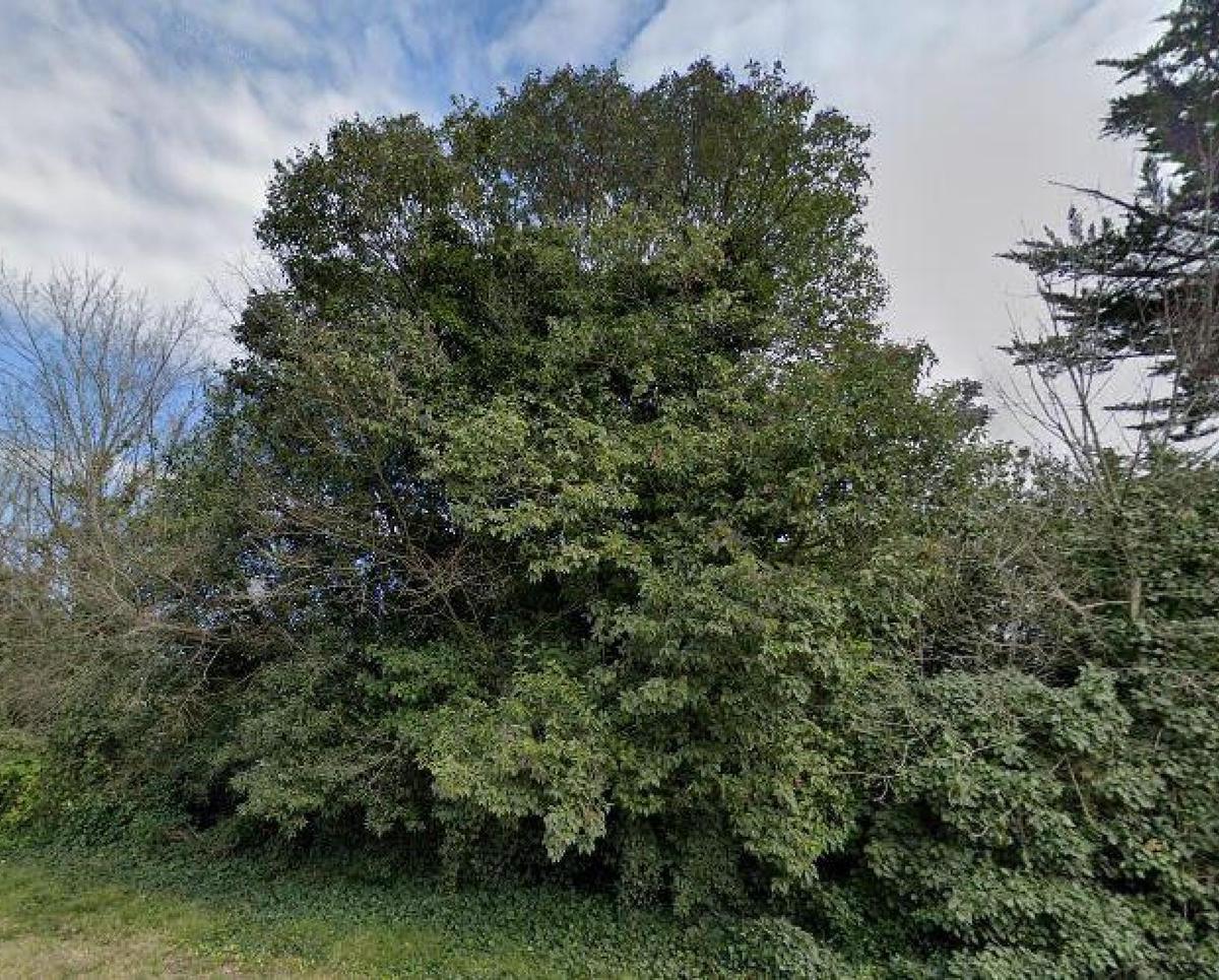 Terreno en venta 723m² en Diagonal Homero Manzi, Parque Montemar