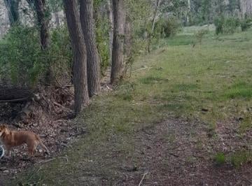 Terreno · 6500m² · Terreno en Venta - 6.500 m² - Mendoza