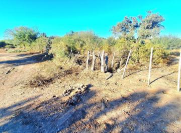 Terreno · 179ha · Media Naranja, Departamento Cruz del Eje Campo de 179 Ha