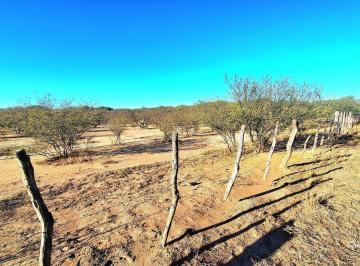 Terreno · 1790000ha · Media Naranja, Departamento Cruz del Eje Campo de 179 Ha