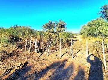 alambrado · Media Naranja, Departamento Cruz del Eje Campo de 179 Ha