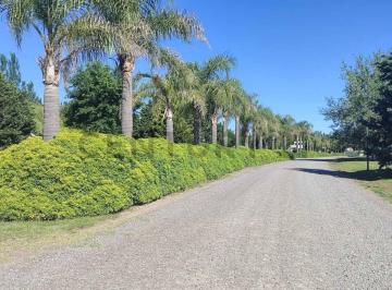 Terreno · 1015m² · Venta de Lote Ubicado en Altos de Brandsen