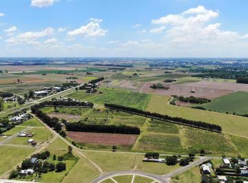 Terreno · 300m² · Lote 300 m² - Ecolagos - General Lagos | Venta