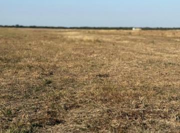 Campo · 1230000m² · Se Vende Campo Mixto - 123 Ha - Nogoya