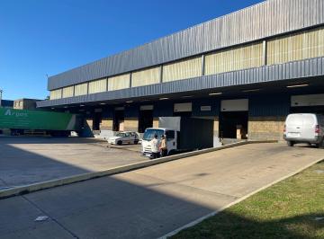 Bodega-Galpón · 3000m² · Alquiler Local - Deposito Logistico en Ruta 101