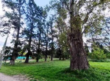 Terreno , Moreno · Terreno en Venta en Zona Residencial