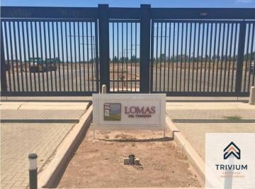 Terreno , Luzuriaga · Terreno en Venta en Lomas del Torreon