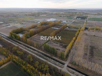 Campo · 14ha · 14 Ha en Venta | Plottier