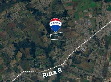 Campo · 14ha · Venta Campo / Chacra 14 Ha Barros Blancos