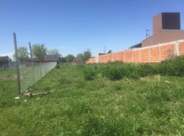 Terreno , La Plata · Venta Lote de Terreno 35 y 146