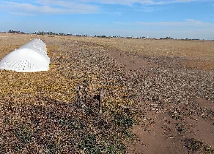 Campo · 5000000m²
