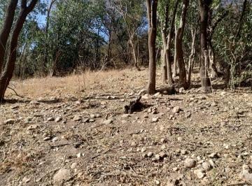 Terreno · Terreno 1.516 m² en Calle Los Cardenales Nono Consultar Venta