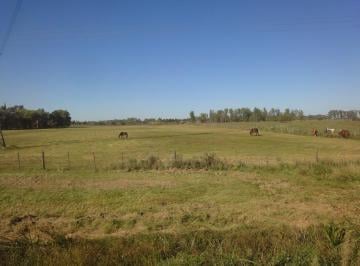 Campo · 80000m² · Terreno Campo en Venta Ubicado en Manzanares, Pilar, G. B. a. Zona Norte