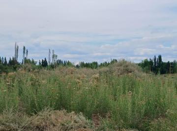 Terreno , Guaymallén · Lote - Guaymallén (Los Corralitos)