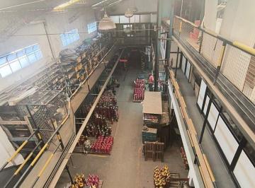 Bodega-Galpón · 1064m² · Galpon Deposito con Departamentos Avellaneda