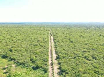 Campo · 940000m² · 1 Ambiente · Campo 94 Ha en Venta Villa de Soto