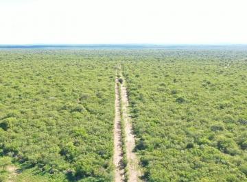Campo · 940000m² · 1 Ambiente · Campo 94 Ha en Venta Villa de Soto