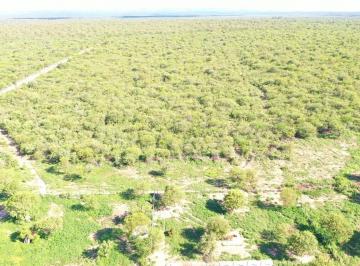 Campo · 180000m² · 1 Ambiente · Campo 180 Ha Ganadero en Venta Villa de Soto