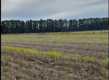 Campo , Exaltación de la Cruz · Campo Agricola en Venta