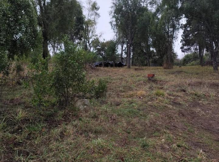 Terreno · 1233m²