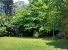 Terreno · 887m² · Lotes en Villa Elisa