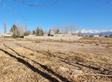 Terreno , Luján de Cuyo · Venta Lote en Perdriel