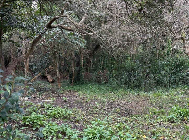 Terreno · 800m²