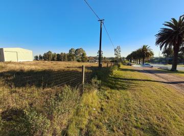 Bodega-Galpón · 240m² · Galpon - Colonia del Sacramento