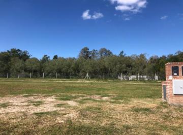 Terreno · 618m² · Venta de Lote en Puertos - Nativas - Oportunidad!