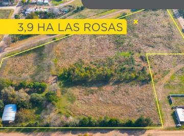 Terreno · 39000m² · Terreno en Las Rosas