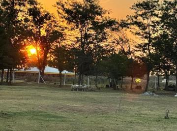 Campo · 200m² · 7 Ambientes · 3 Cocheras · Chacra con Excelente Acceso en Carlos Keen