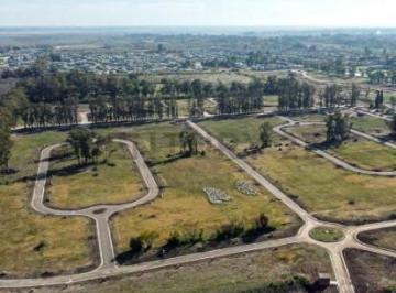 Terreno · 484m² · Lote en Venta en Santa Sofia Pilar del Este