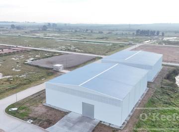Bodega-Galpón · 2400m² · Galpón en Alquiler a Estrenar - Parque Tecnológico E Industrial Berazategui - Intepark - Zona Sur
