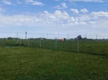 Terreno · 1250m² · Terreno Venta 25x50 m - 1250 m² Totales - Arana