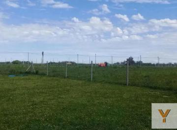 Terreno · 1250m² · Terreno Venta 25x50 m - 1250 m² Totales - Arana