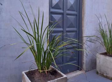 Casa de 3 ambientes, Berisso · Particular Alquilo