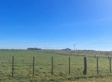 Campo · 80m² · Campo en Venta - 12.500 m² - Entre Ríos