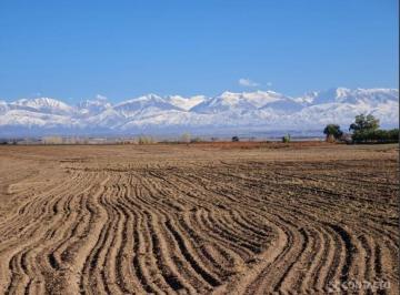 Campo , Cordón del Plata · Venta de Finca en Cordon del Plata - Tupungato