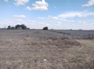 Campo , Bustinza · Venta Campo Sobre Ruta en Bustinza