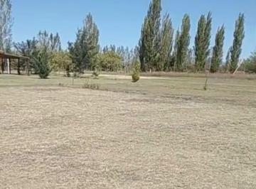 Terreno · 2250m² · Lotes de Terrenos en Bowen General Alvear Mendoza