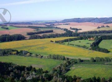 Campo · 50000m² · 5 Héctareas en Ruta 88 Km 8