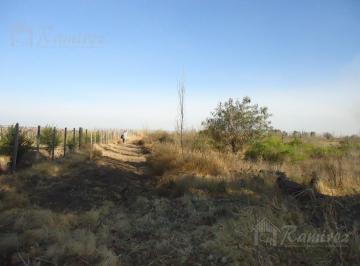 Campo · 50000m² · Finca en Venta 5 Ha Campo Real del Padre, San Rafael - Mendoza