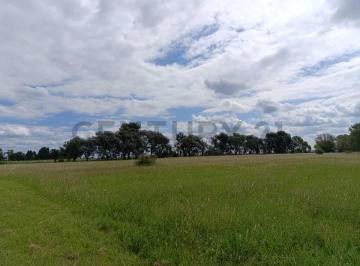 Terreno · 10000m² · Terreno de 1 Hectárea en Venta en Loma Escondida, Luján