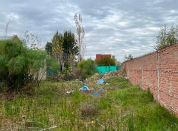 Terreno , La Plata · Excelente Lote de 10 X 40 en Manuel B Gonnet