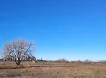 Campo , Pergamino · Campo de 5 Ha y 1/2 Zona Rural de Pergamino